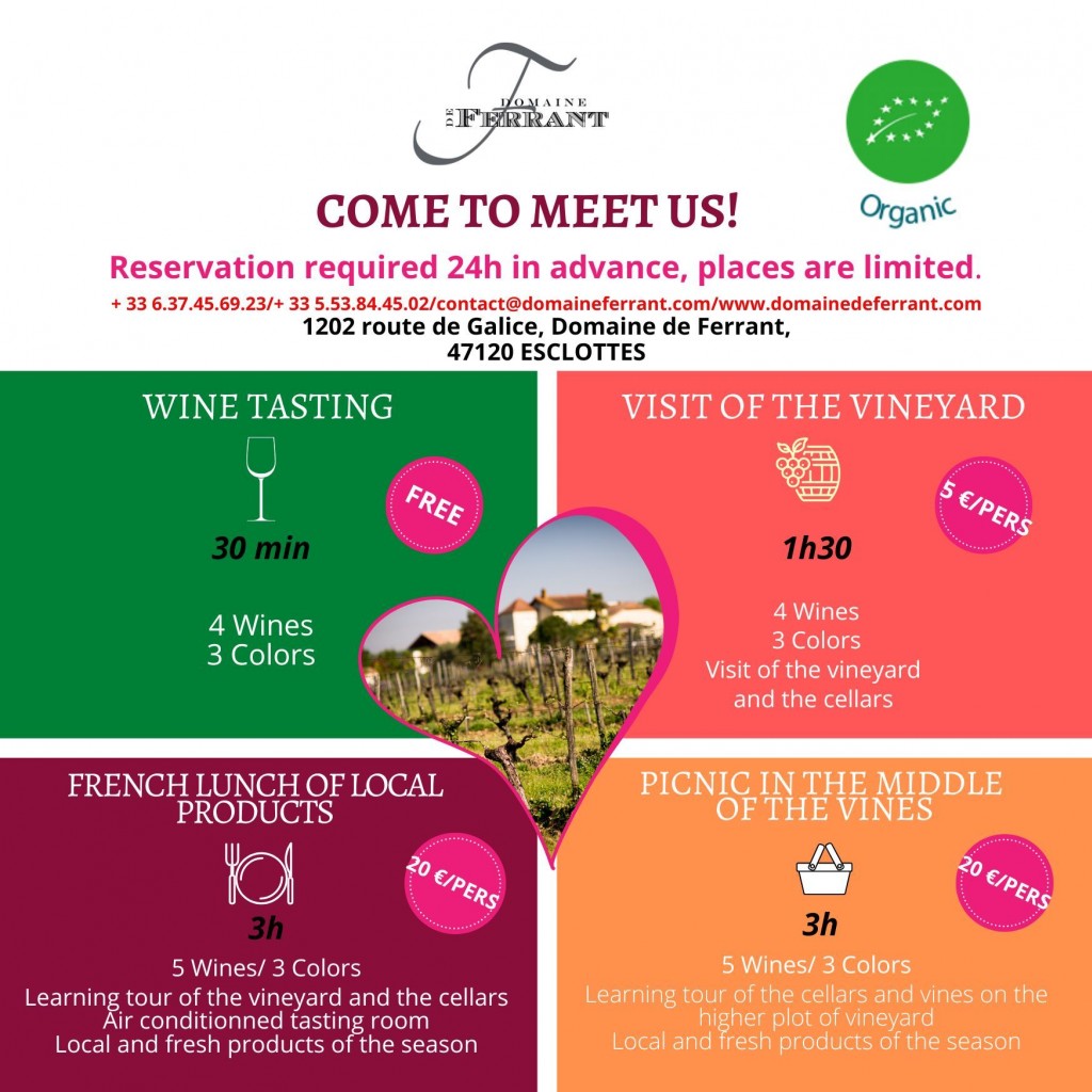 THIS SUMMER EVERY FRIDAY FROM THE 11/07/2025 TO THE 15/08/2025