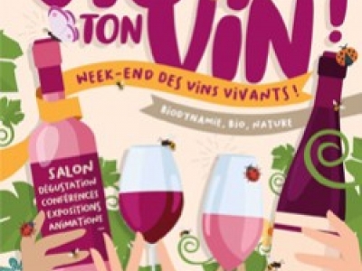 VIS TON VIN A MONSEGUR LE 13 ET 14 AVRIL